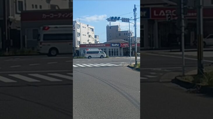 【緊急走行】ドクターカー支援!鹿児島市消防局西本署非常用救急（高度救急隊ドクターカー代車運用中）