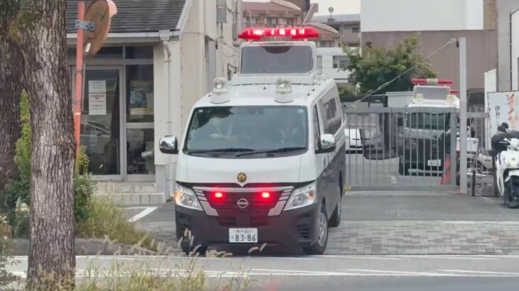 🚨出動する警察車両が格好いい🚨赤色灯🚨兵庫県警🚨 #パトカー #警察車両 #兵庫県警 #赤色灯