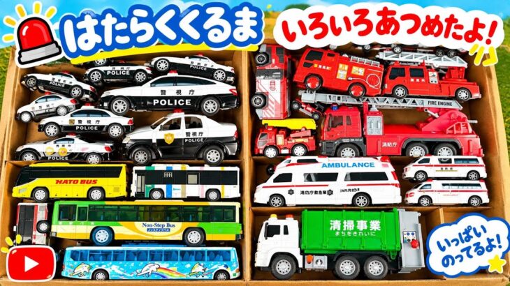 パトカー　救急車　消防車 ゴミ収集車 バス　箱に並びました。チェックしたらサイレン鳴らして坂道走る！緊急走行テスト はたらくくるま