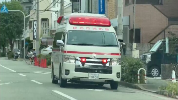 🚨響き渡るサイレン🚨救急車🚨緊急走行🚨伊丹市消防局🚨 #救急車 #緊急走行