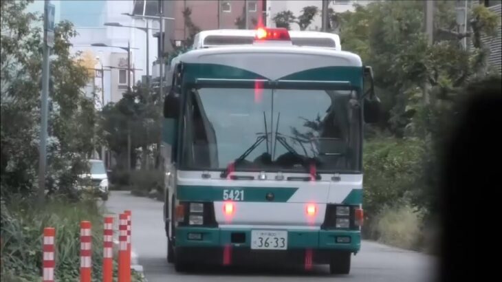 🚨護送車が格好いい🚨兵庫県警🚨人員輸送車🚨走行動画🚨 #護送車 #兵庫県警 #人員輸送車 #赤色灯 #走行動画