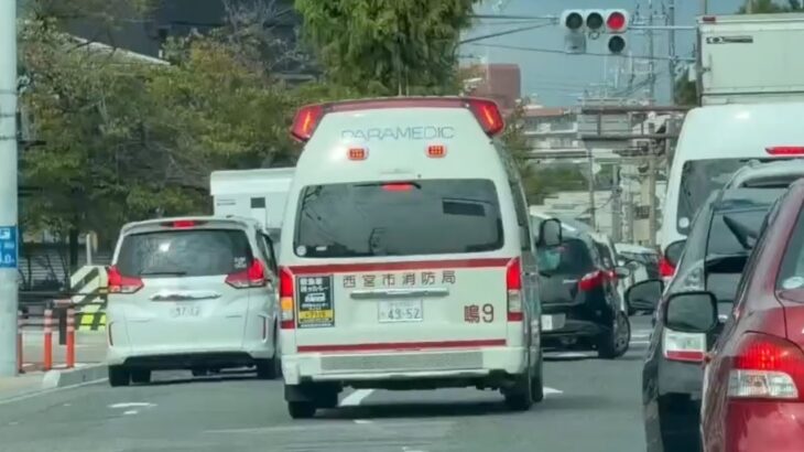 🚨信号待ちの車列で通れず😨🚨救急車🚨緊急走行🚨西宮市消防局🚨 #救急車 #緊急走行 #西宮市消防局
