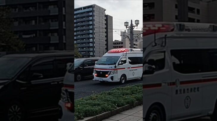 【緊急走行】天文館で急病事案発生!鹿児島市消防局伊敷救急隊