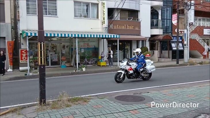 白バイ 取り締まりのため緊急発進  横断歩行者等妨害等