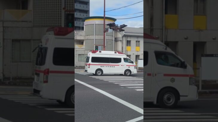 薩摩川内市消防局　中央消防署　救急２０１ #救急車