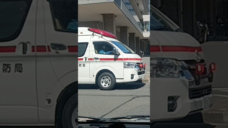 【緊急走行】代車で救急搬送!鹿児島市消防局吉野非常用救急（南林寺救急代車運用中）