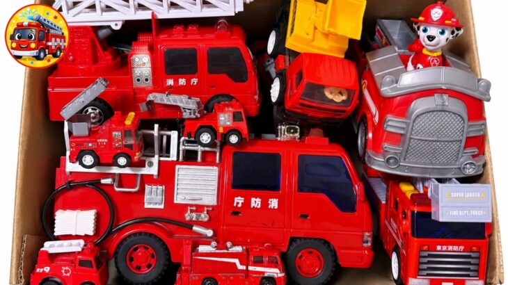 🚒消防車のミニカーだけ大量に箱に集めてみた！はしご車・ポンプ車がずらり サイレン鳴らして緊急出動＆坂道走行テスト【子供向け】秋のおうち遊び