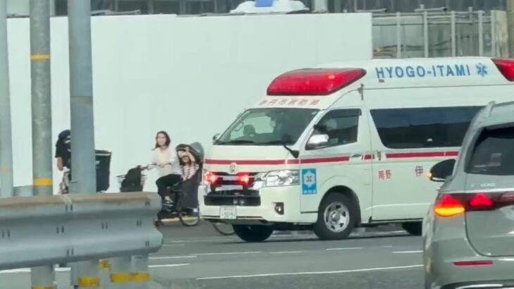 🚨交差点を緊急走行🚨救急車🚨響き渡るサイレン🚨 #救急車 #緊急走行 #伊丹市消防局
