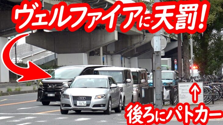 パトカーの目の前でイエローカット！ヴェルファイアが捕まる瞬間！【パトカーによる交差点取り締まり】