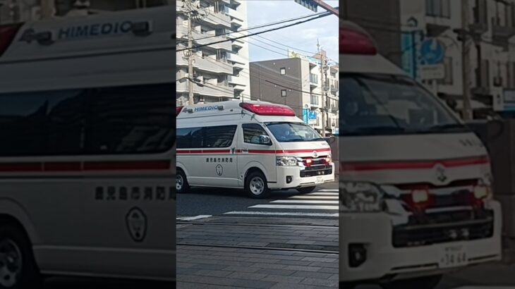 【緊急走行】交差点を左折し市立病院へ救急搬送!鹿児島市消防局中央本署救急隊