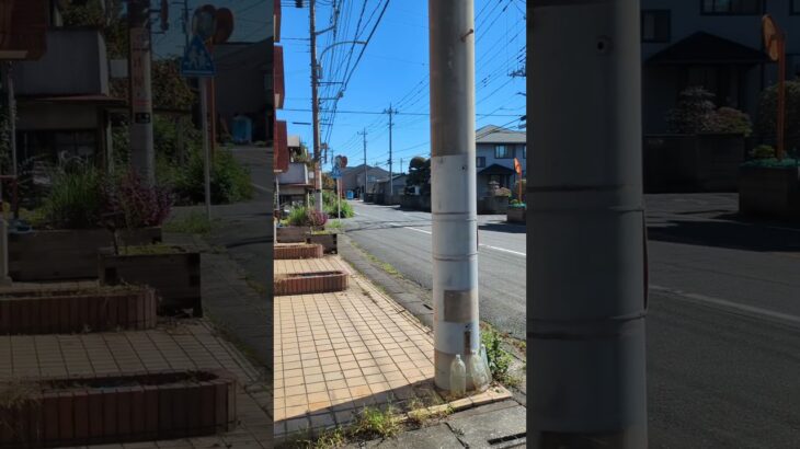 救急車と消防車　緊急走行　 #救急車 #消防車 #緊急走行 #緊急車両