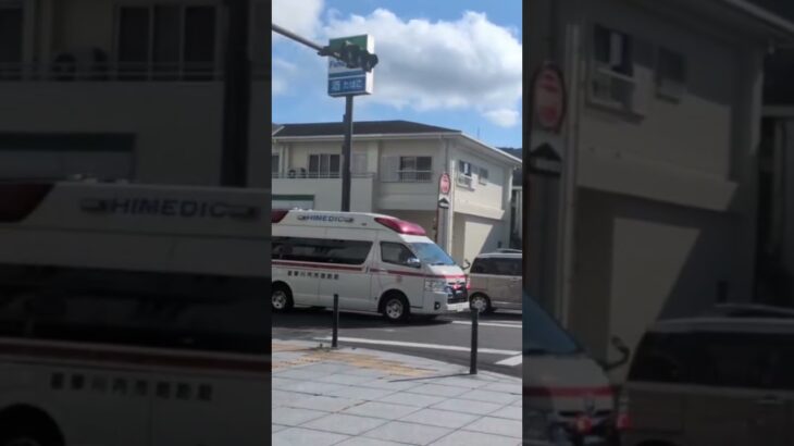 薩摩川内市消防局　東部消防署　救急５０１ #救急車