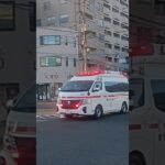 【緊急走行】新型パラメ交差点進入!鹿児島市消防局吉野救急隊