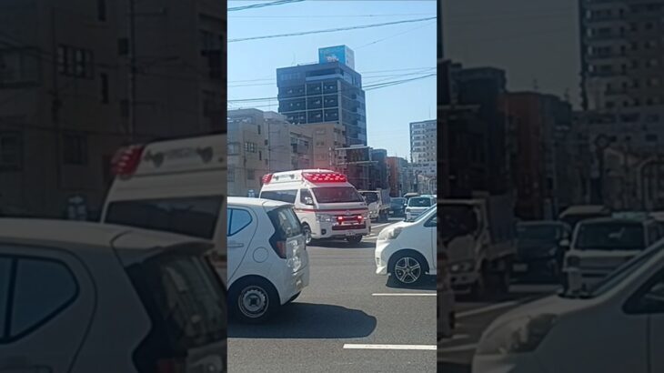 【緊急走行】管轄外へ救急出場!鹿児島市消防局甲南救急隊