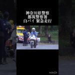 神奈川県警察 白バイ 緊急走行！ #神奈川県警察 #神奈川県警 #白バイ #緊急走行