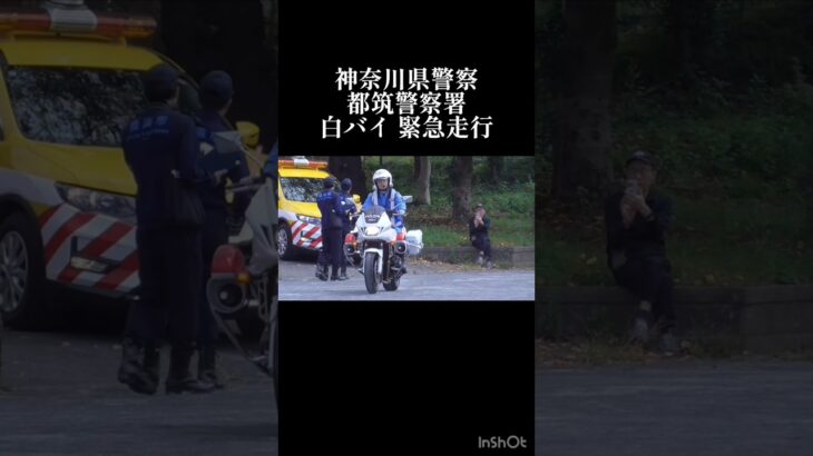神奈川県警察 白バイ 緊急走行！ #神奈川県警察 #神奈川県警 #白バイ #緊急走行