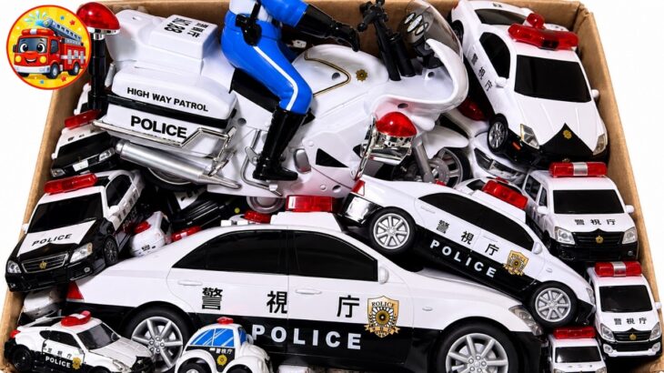 🚓パトカーのミニカーだけ大量に箱に集めてみた！警視庁のパトカー・白バイもずらり サイレン鳴らして緊急出動＆坂道走行テスト【子供向け】秋のおうち遊び