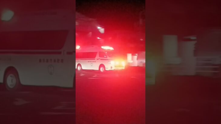 【緊急走行】アクティビーコン救急車交差点通過!鹿児島市消防局甲南救急隊