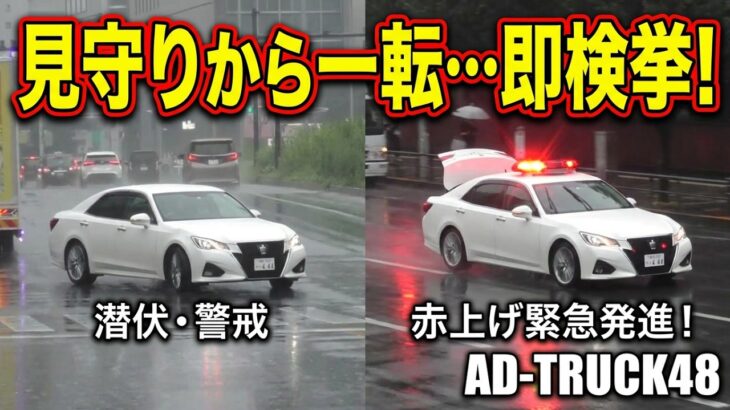 交通見守り隊？ゆっくり走り違反した瞬間、赤上げ緊急走行し検挙する覆面パトカー