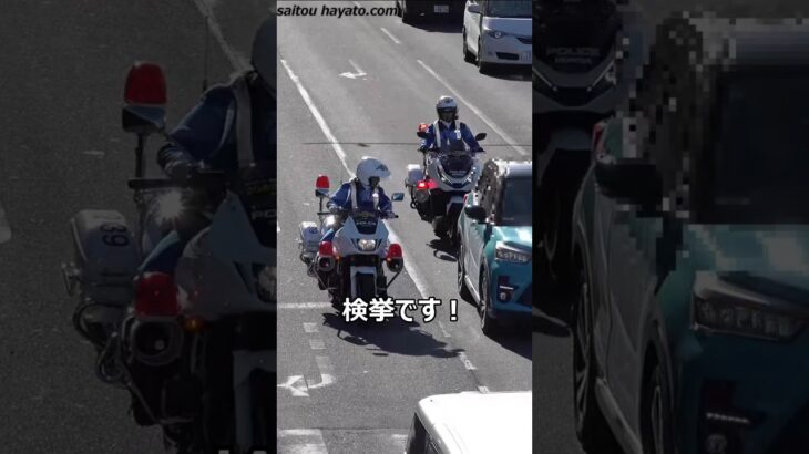 【白バイ出撃！】停車車両の死角で歩行者の有無など全く見えない横断歩道をノーブレーキで突っ走ったライズの末路！！！